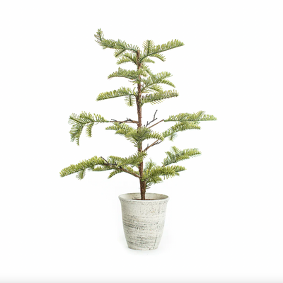 Potted Faux Pine Tree, FEEL AT HOM , , Creative Co-Op @feelathom