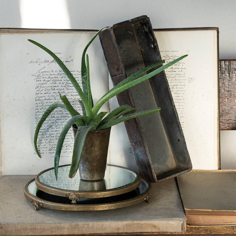 Large Brass Mirror Tray