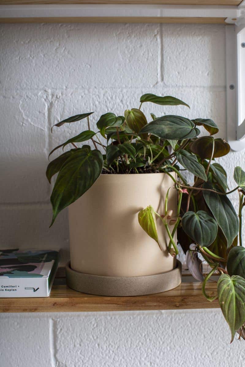 Kalmar Planter Pots, FEEL AT HOM , , Accent Decor @feelathom