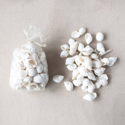White Shells Bundle, HOM , Accent, Creative Co-Op @feelathom