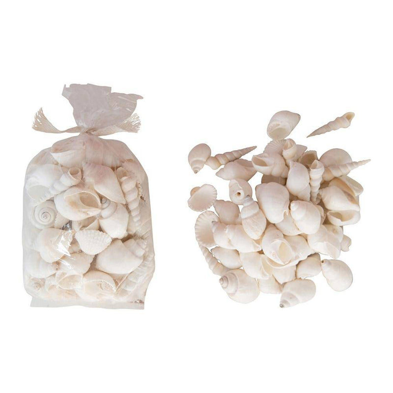White Shells Bundle, HOM , Accent, Creative Co-Op @feelathom